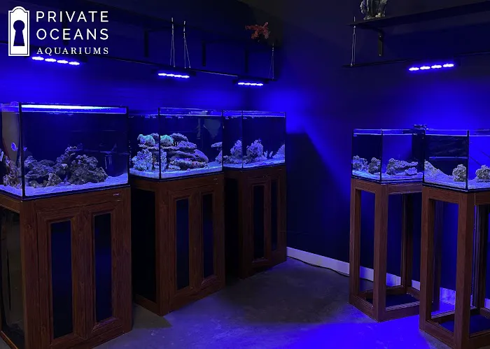 Private Oceans Aquariums 12