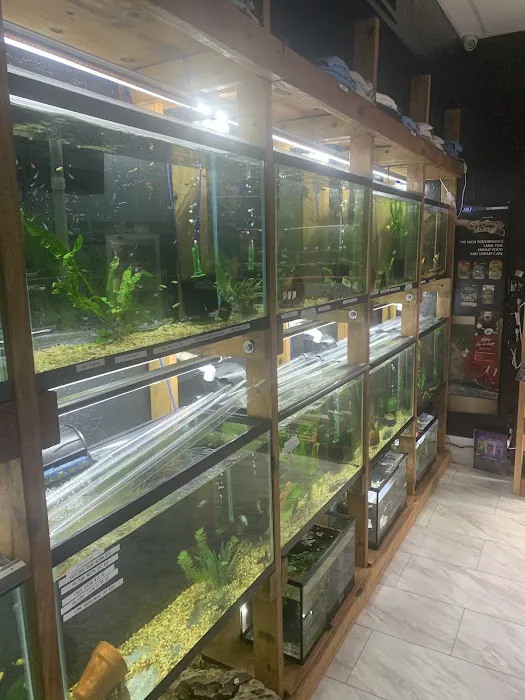 Badfish Florida LLC 12