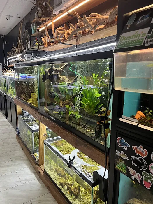 Badfish Florida LLC 12