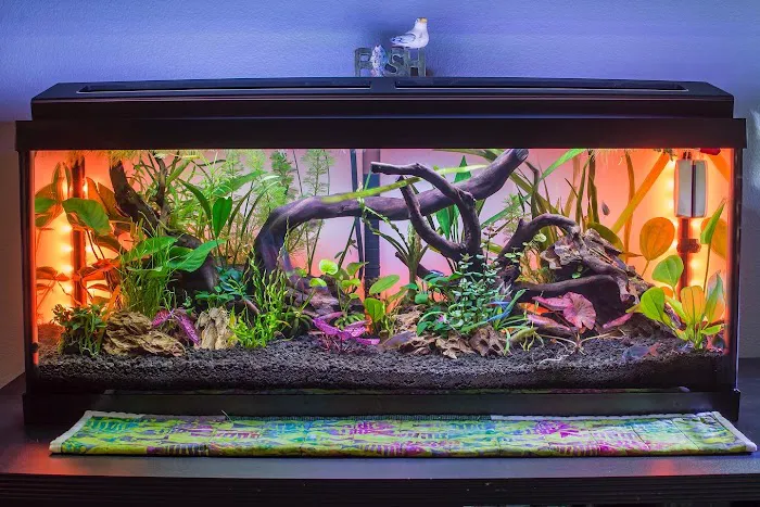 Badfish Florida LLC 12