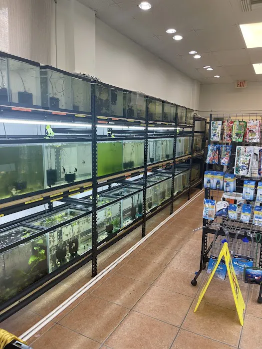 Colorful Aquariums LLC 12