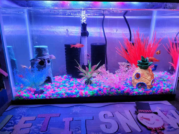 Colorful Aquariums LLC 12