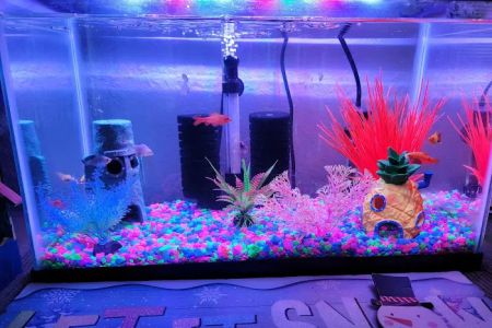 Colorful Aquariums LLC