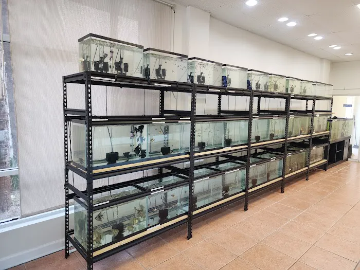 Colorful Aquariums LLC 12