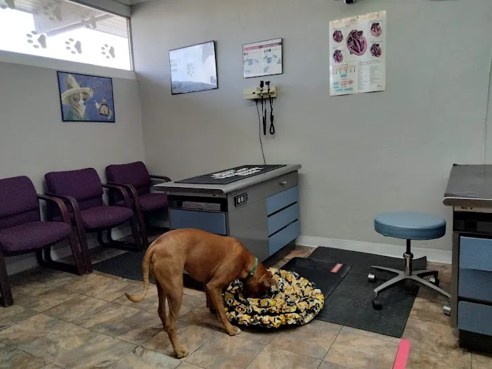East Charleston Animal Hospital 12