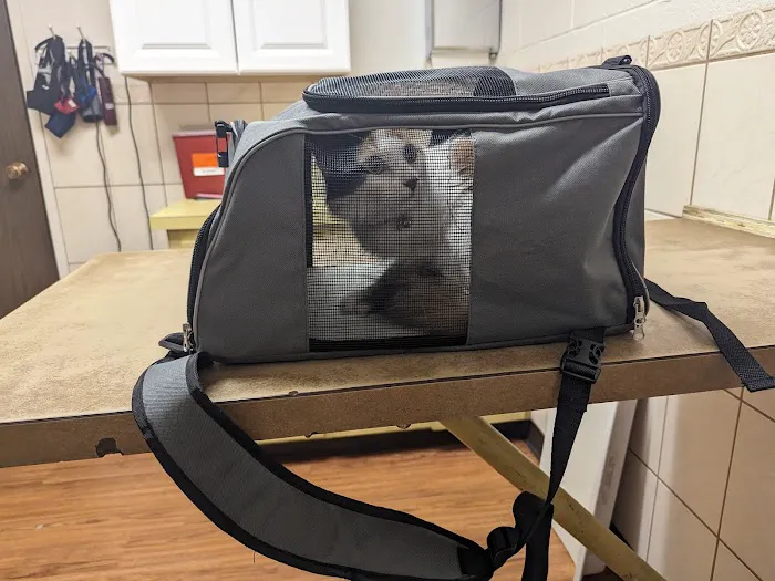 Sunrise Veterinary Clinic 12