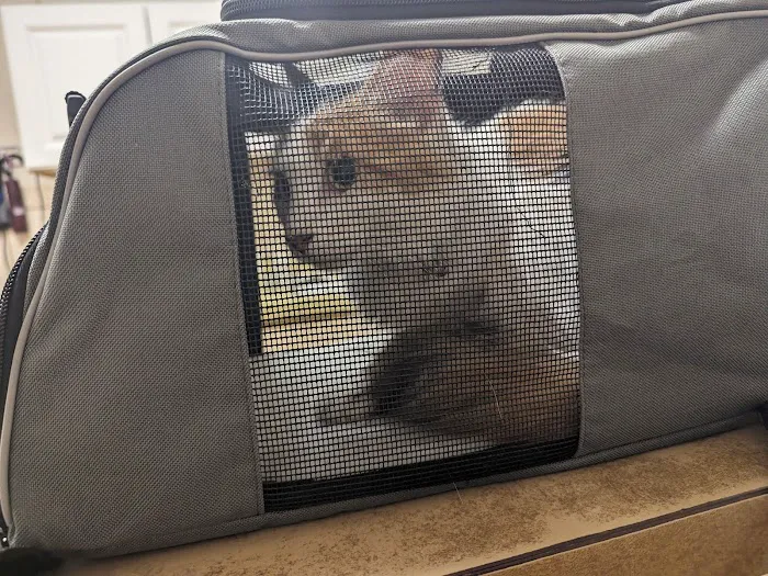 Sunrise Veterinary Clinic 12