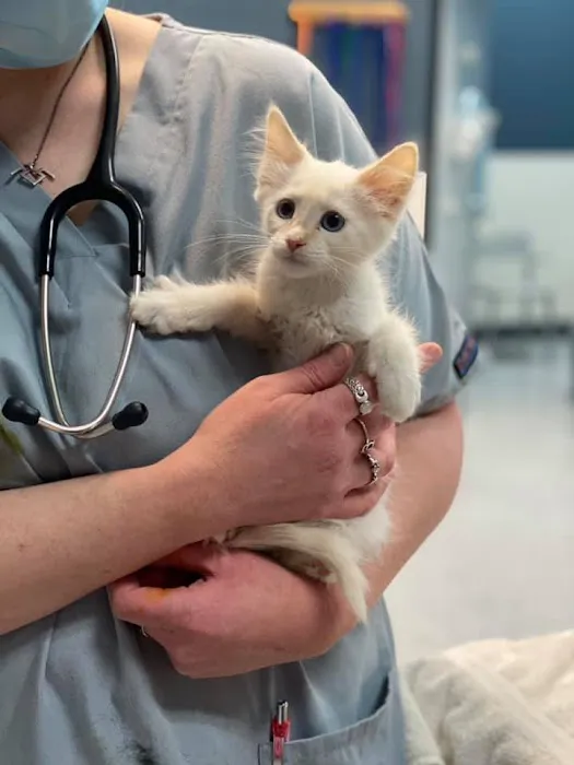 Heaven Can Wait Animal Society Wellness Clinic 12