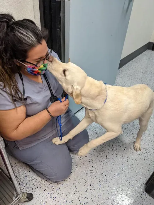 Heaven Can Wait Animal Society Wellness Clinic 12