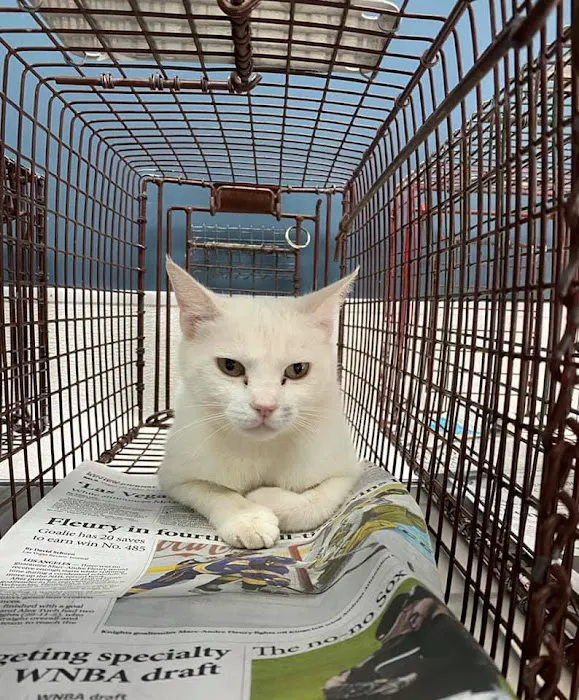 Heaven Can Wait Animal Society Wellness Clinic 12