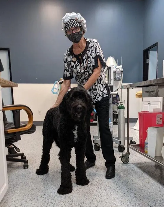 Heaven Can Wait Animal Society Wellness Clinic 12