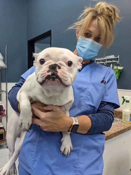 Heaven Can Wait Animal Society Wellness Clinic 12
