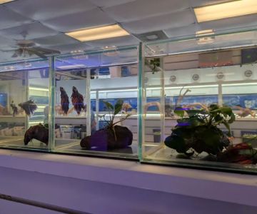 Darrell's Aquarium