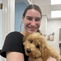 Merrill Animal Clinic: Rogaski Cathy DVM ico
