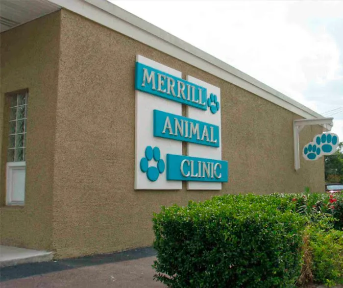 Merrill Animal Clinic 12