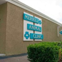 Merrill Animal Clinic ico