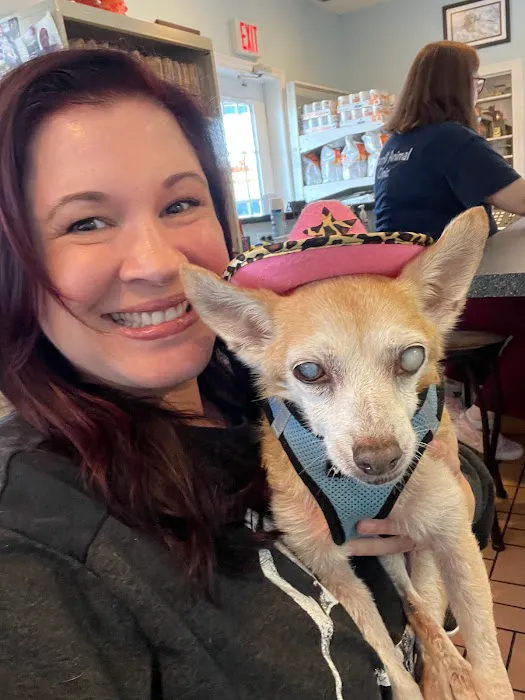 Merrill Animal Clinic 12