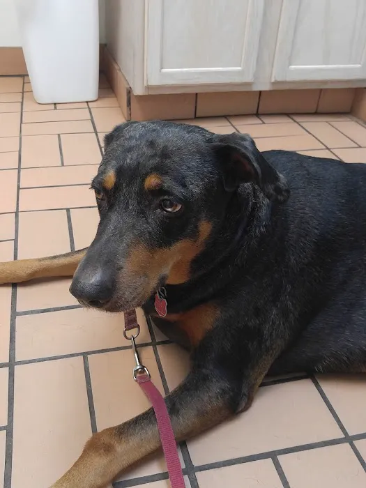 Merrill Animal Clinic 12