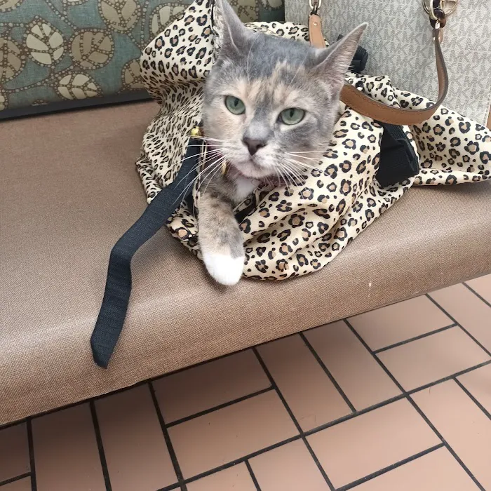 Merrill Animal Clinic 12