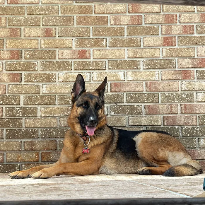 Fort Caroline Animal Clinic 12