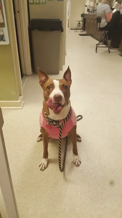 Fort Caroline Animal Clinic 12