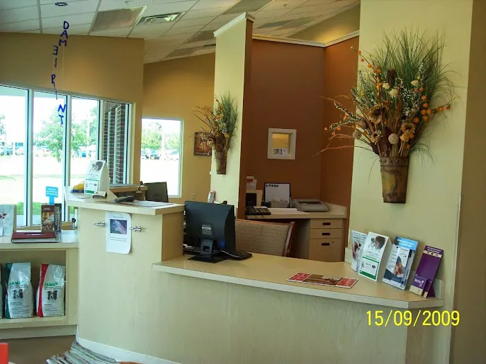 Dames Point Animal Hospital 12