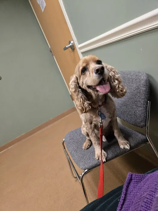 Dames Point Animal Hospital 12