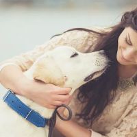 Dames Point Animal Hospital ico
