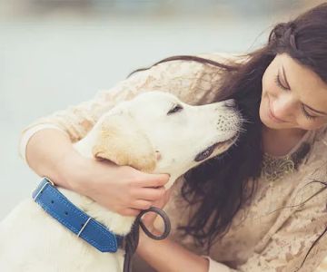 Dames Point Animal Hospital