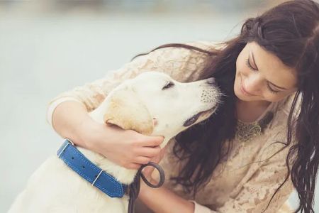 Dames Point Animal Hospital