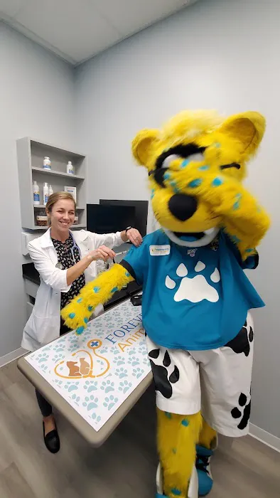 Forever Vets Animal Hospital - Riverside 12