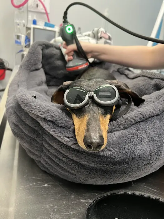 Forever Vets Animal Hospital - Riverside 12