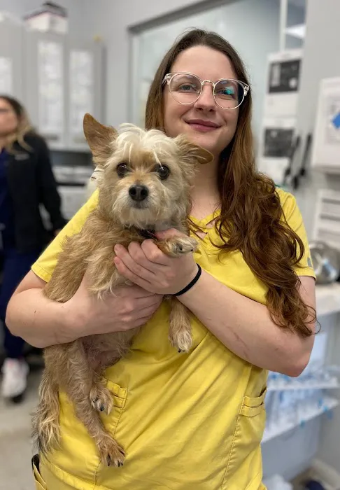 Forever Vets Animal Hospital - Riverside 12
