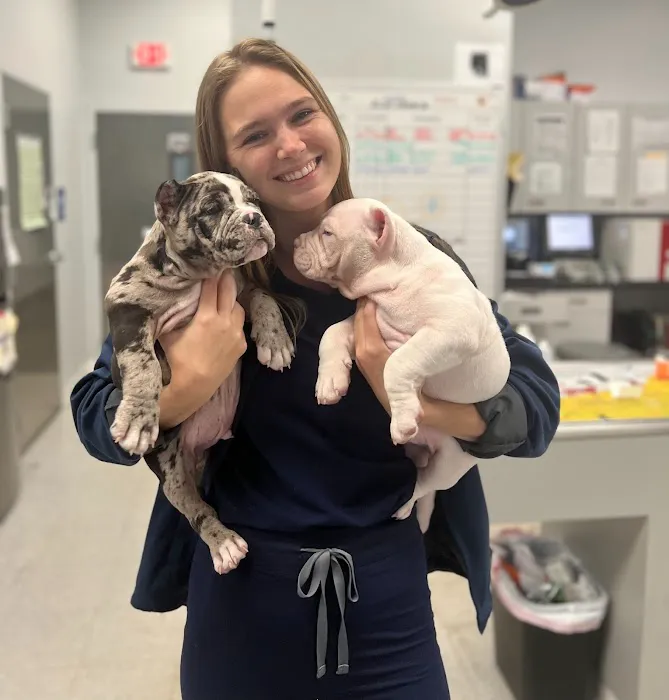 Forever Vets Animal Hospital - Riverside 12