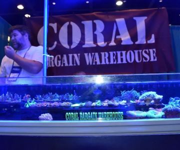 Coral Bargain Warehouse