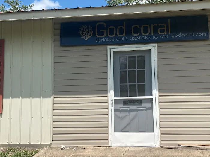 God Coral 12
