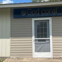 God Coral ico