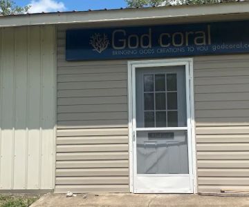 God Coral