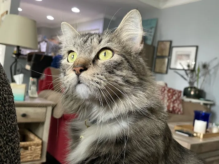 Banfield Pet Hospital 12