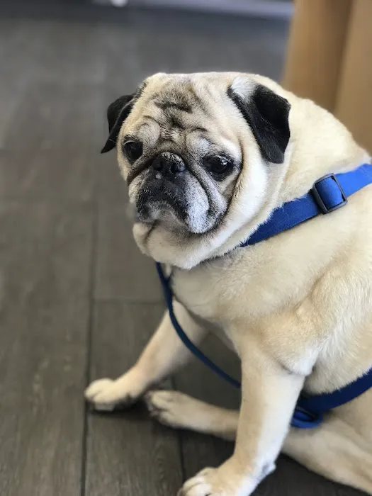 Banfield Pet Hospital 12