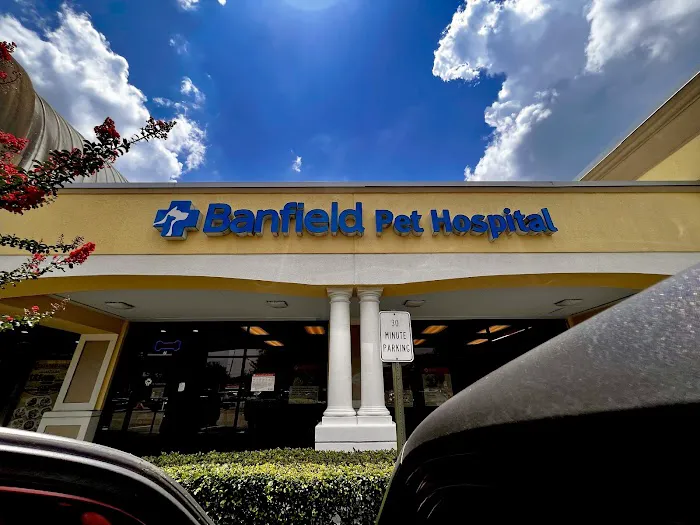 Banfield Pet Hospital 12