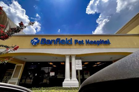 Banfield Pet Hospital
