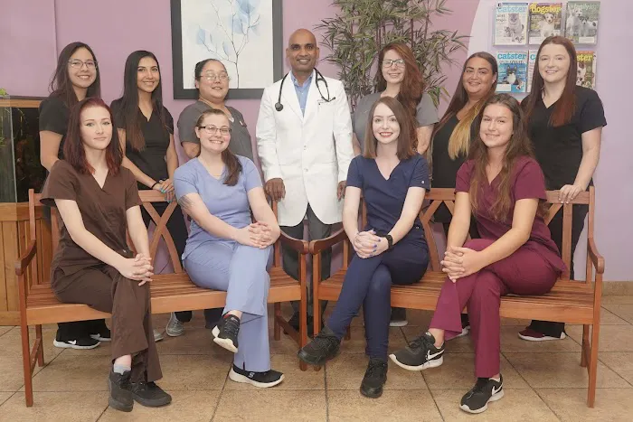 Care Pet Animal Hospital 12