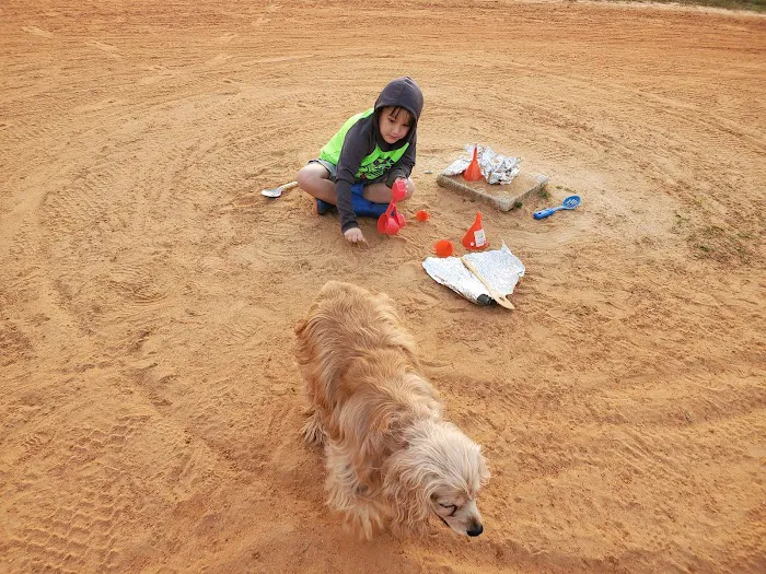 Wonderwood Animal Hospital 12