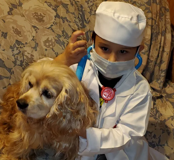 Wonderwood Animal Hospital 12