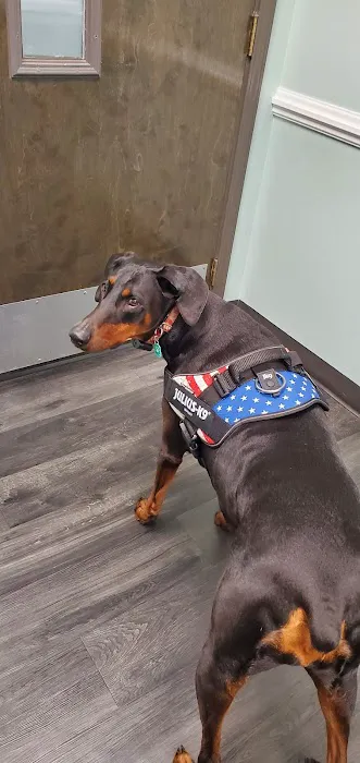 Pet Doctors of America 12