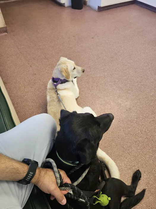 Hidden Hills Animal Hospital 12