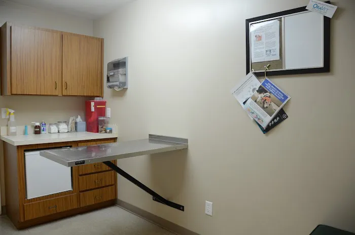 Hidden Hills Animal Hospital 12
