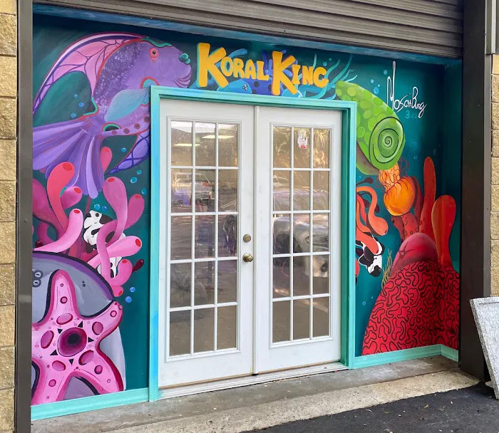 Koral King 12