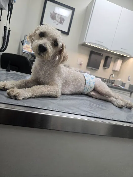 Animal Kind Veterinary Hospital 7